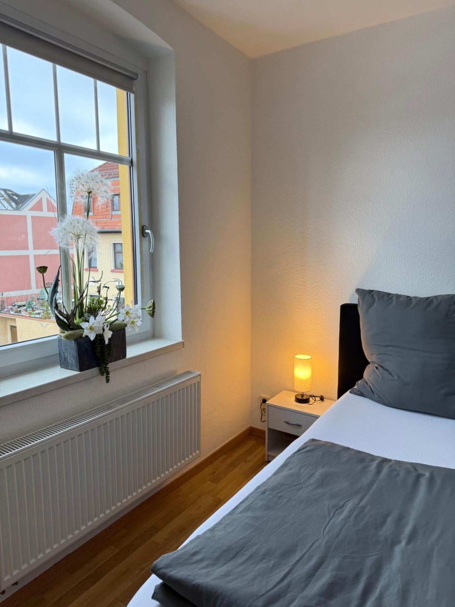 Goeltzschtal Apartment Mylau Exterior photo